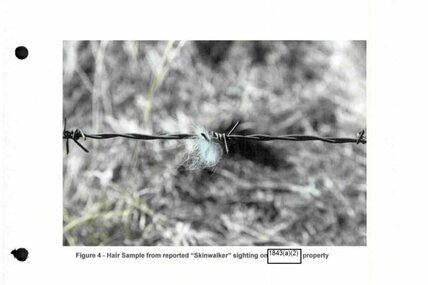 スキンウォーカー・ランチの奇妙な生物の毛(米国防総省)